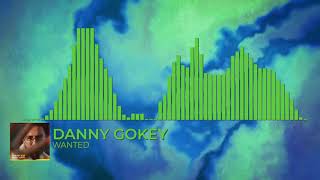 Danny Gokey  Wanted [upl. by Qulllon]