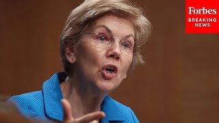 Elizabeth Warren Praises Kamala Harriss Progressive Record At Virtual Campaign Event [upl. by Deckert931]