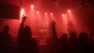 Feral Forms  live  Trainstation SubArt Kranj 12102024 [upl. by Hope643]