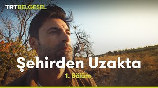 Şehirden Uzakta  Nevşehir  TRT Belgesel [upl. by Enitsyrk478]