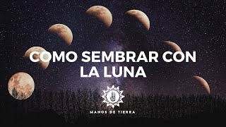 Como Sembrar Con LA LUNA 2024 cultivar con fases lunares calendario lunar [upl. by Euqcaj]