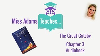 The Great Gatsby  Chapter 3 Audiobook [upl. by Rehpotsrihc906]