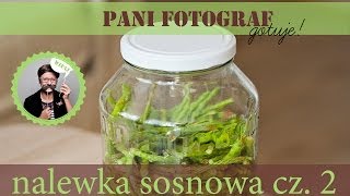 przepis na nalewkę z pędów sosny cz 2 [upl. by Eelime]