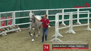 74 Hengst v Quidam de Revel  Carthago  Khalkis xx [upl. by Klos635]