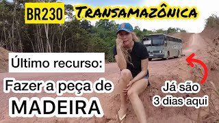 3 dias dormindo na pior parte da BR230 a transamazônica  motorhome quebrado e não tem socorro aqui [upl. by Atsok]