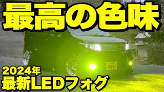 【2024最新】マジで1番明るくて色味がキレイなLEDフォグ見つけました‼️このLEDメーカー…最強っす。 [upl. by Ellicott]