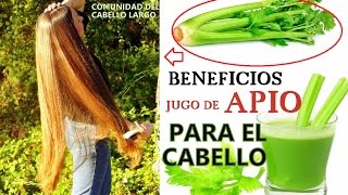 JUGO DE APIO CÓMO APLICAR EN EL CABELLO PARA QUE CREZCA RÁPIDO Y SE HIDRATE [upl. by Felder918]