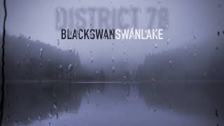 BLACK swan SWAN lake  District 78 Swan Lake Remix [upl. by Hogle]