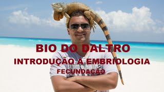 INTRODUÇÃO À EMBRIOLOGIA  PARTE 01  FECUNDAÇÃO [upl. by Bronder]