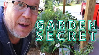 Biochar Inoculation Garden Secret [upl. by Rici]