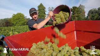 Fabien Murail • Vigneron par passion Mareuil SLay [upl. by Atnoved]