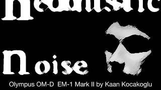 Hedonistic Noise Live in Ankara  7102018 [upl. by Adoc]