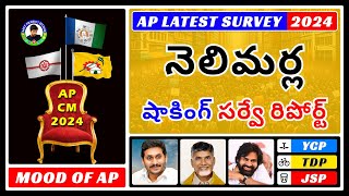 2024 Nellimarla Election Survey YSRCP TDP Janasena  Who Leads Mee Prabhu Analysis [upl. by Derzon]