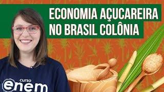 A ECONOMIA AÇUCAREIRA NO BRASIL COLÔNIA  Resumo de História para o Enem [upl. by Alwyn]