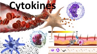 Cytokines  Structure sub families signaling mechanism and biomedical use [upl. by Nitneuq]