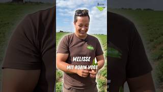 HessensBauern PflanzlicheArzneimittel Arzneimittel Landwirtschaft Naturkosmetik Melisse Hessen [upl. by Kerri]