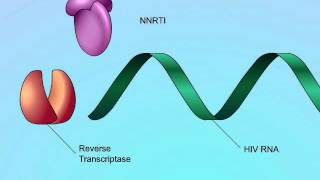 Mechanisms of Action of NonNucleoside Reverse Transcriptase Inhibitors NNRTIs [upl. by Ardnahs]