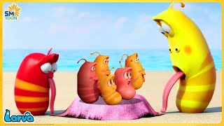 LARVA SEASON 2 Compare Weight  COMICS  MINI SERIES FROM ANIMATION [upl. by Lahpos102]