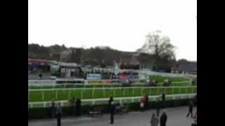 A horse refusing the last fence at Uttoxeter Races [upl. by Polik]