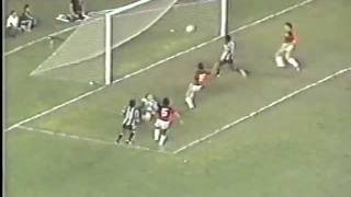 Botafogo 3 x 1 Flamengo 1981  melhores momentos [upl. by Eppilihp]