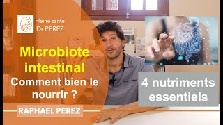 intestin  4 nutriments essentiels pour un microbiote au top  prébiotiques vitamine antioxydants [upl. by Larrej]