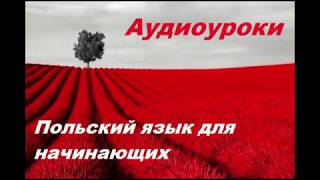 Аудиокурс Польского языкаВиза в Польшу Урок №123 [upl. by Aray470]