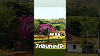 tribuna10fmradiostudiolivr28 Tonico e Tinoco Pe de Ype [upl. by Mitran182]