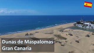 Dunas de Maspalomas  Gran Canaria  Drone flight over beachfront and dunes [upl. by Laro817]