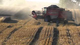 Zniwa 2010  Koszenie pszenicy Harvest wheat  Massey Ferguson Activa 7244  Case cvx 150  JD 6630 [upl. by Horace]