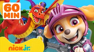 PAW Patrol Dragon Adventures amp Rescues 🐉 1 Hour  Nick Jr [upl. by Cima]