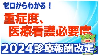 【入門編】重症度、医療・看護必要度とは？（令和6年度2024年度改定） [upl. by Aliuqehs]