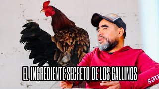 El Ingrediente secreto de los GaIIinos [upl. by Siuol]