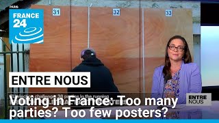 EU Elections Too many parties Too few posters • FRANCE 24 English [upl. by Larok849]