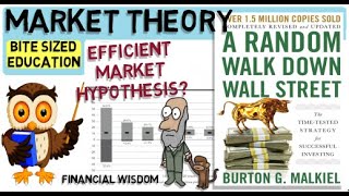 A RANDOM WALK DOWN WALL STREET By Burton Malkiel Efficient Market Hypothesis [upl. by Vidovic842]