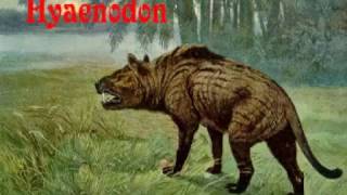 Hyaenodon [upl. by Davie341]