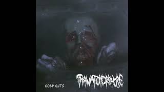 THANATOMORPHOSE GOREGRIND  Cold Cuts double EP 2024 [upl. by Eniortna89]