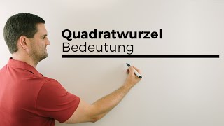 Quadratwurzel Bedeutung Grundlagen Hilfe in Mathe einfach erklärt  Mathe by Daniel Jung [upl. by Menides]