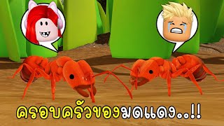 พี่ฝนพี่เอกเป็นครอบครัวมดแดง 🐜🐜 🐛 Roblox Ants [upl. by Ecilegna476]