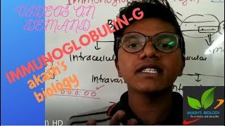 ImmunoglobulinG and its types [upl. by Ginnifer]