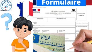 guide complet pour remplir son formulaire de demande de visa long séjour  FranceVisa [upl. by Ainevuol]