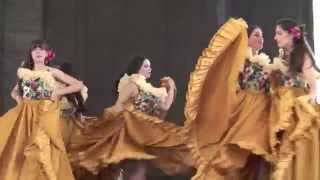 Araguaney Venezuelan Folk Dance Group 2014 [upl. by Annaohj]