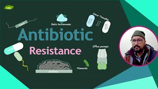 Antibiotic Resistance in Hindi  Bacterial Defense Mechanisms  Basic Science Series Hindi [upl. by Milford]