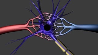 fMRI Functional MRI [upl. by Amyas]