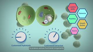 How can BloomGenixTM be used to formulate highperforming biostimulants [upl. by Acisey]