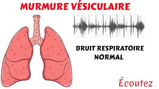 Écoutez le MURMURE VÉSICULAIRE Le bruit respiratoire normal [upl. by Yraeg227]