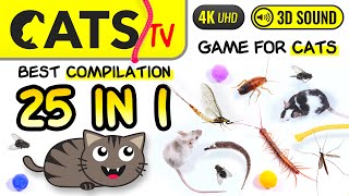 CATS TV  25 IN 1 😻🪳 BEST Games Compilation for cats 🐭🕷️🪰 4K Cats TV 3 Hours [upl. by Indyc750]