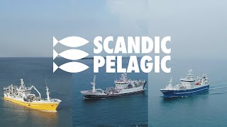 Scandic Pelagic  Production Film 2024 [upl. by Aihsad]