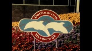 Dolfinarium in Harderwijk circa 1976 [upl. by Fricke]