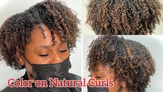 Highlights NO BLEACH on Natural Curls [upl. by Jallier134]