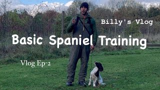 Basic Spaniel Training straight sends amp back retrieves quotBillys Vlog Ep2quot [upl. by Prager822]